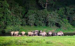 Munnar Holidays Packages | Travels in Munnar | Munnar Tour Packages | Tent Camping in Munnar | Jeep Safari in Munnar | Jeep Safari Munnar | Tent Camping Munnar | Munnar Tour Packages | Munnar Tour Packages for Family | Group Tour Packages | Corporate Tour Packages | Munnar Honeymoon Packages | Munnar Taxi Services | Cab Rental in Munnar | Munnar Sightseeing Places | Local Sightseeing in Munnar | Sightseeing Places in Munnar | Jeep Safari in Munnar | Trekking in Munnar | Sunrise Trekking in Munnar | Kolukkumalai Trekking in Munnar |Best Travels in Munnar | Best Holiday Packages in Munnar | Holidays in Munnar | Holiday Packages in Munnar | Taxi Service in Munnar | Outstation Trips in Munnar | Room Booking in Munnar | Munnar Room Booking | Hotel Booking in Munnar | Munnar Hotels | Munnar Cottages | Munnar Resorts | Sightseeing Places Near me | Munnar Vacation Packages | Hiking Trials in Munnar | Munnar Hiking Trails | Munnar Trekking Packages | Tent Camping Munnar | Tent Camping Stay | Jeep Trekking in Munnar | Best Trekking in Munnar | Chokramudi Trekking in Munnar | Munnar Trekking Booking | Munnar Trekking Packages | Best Jeep Safari in Munnar | South India Tour | Allepey Tour | Kerala Tours | Madurai Tours | Munnar Tour Packages from Kochi | Cheap Munnar Tour Packages | Adventure Munnar | Off Road Munnar Jeep Safari | Jeep Safari in Munnar | Off Road Safari Munnar | Munnar off-road adventure | Munnar trekking and camping | Munnar trekking | Munnar adventure activities | Munnar Jeep tour packages | Jeep Safari booking Munnar | Wildlife Jeep Safari Munnar | Forest Jeep Safari Munnar | Mountain Jeep Safari Munnar | Munnar sightseeing | Munnar scenic Jeep ride | Jeep Safari booking Munnar | Munnar Jeep tour packages